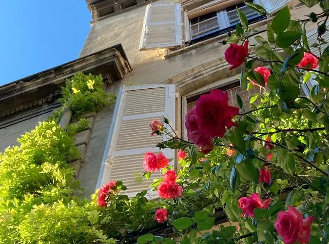 Hotel Cocooning Avignon